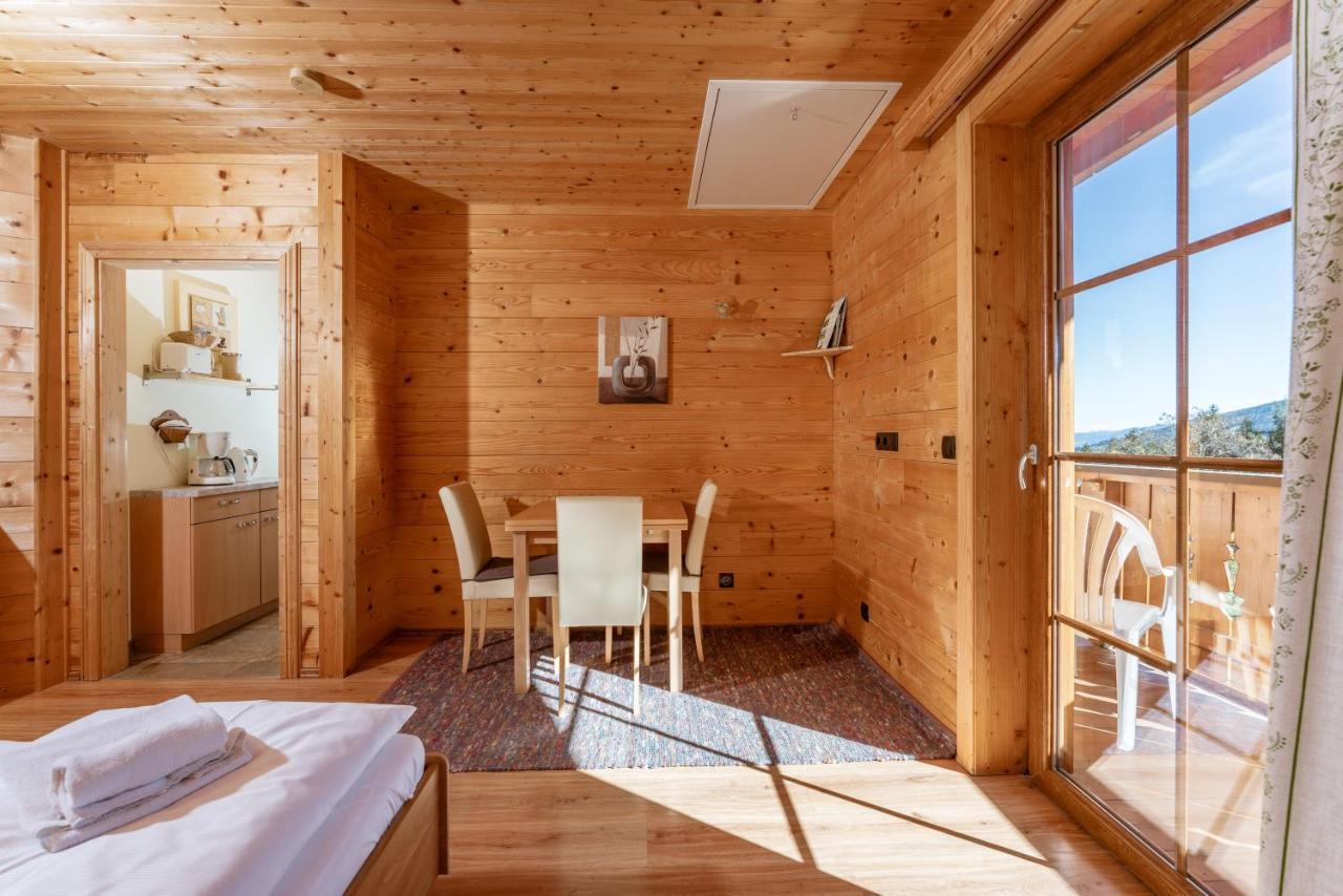 Apartment In- Out - Haus Stocker - Direkt An Der Skipiste By Schladmingurlaub Schladming