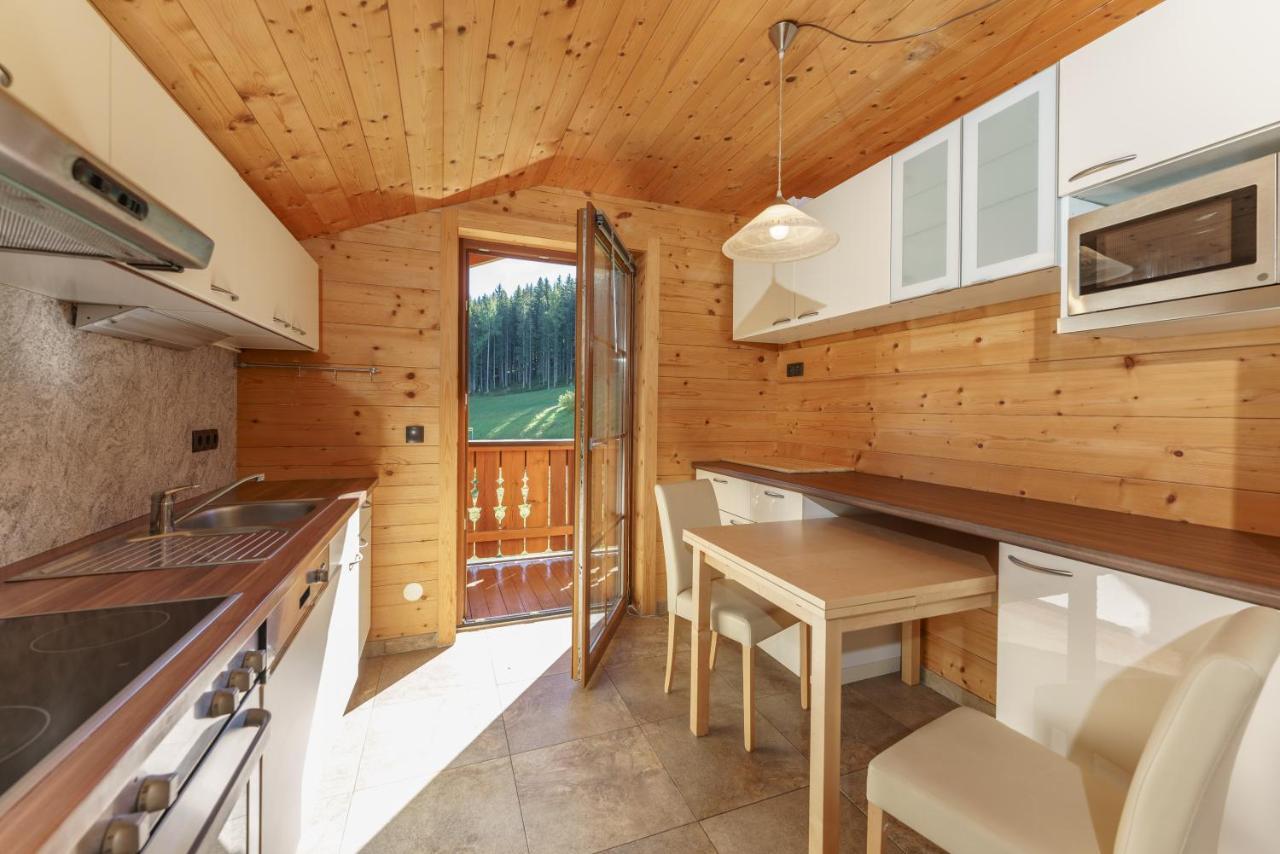 Apartment In- Out - Haus Stocker - Direkt An Der Skipiste By Schladmingurlaub Schladming
