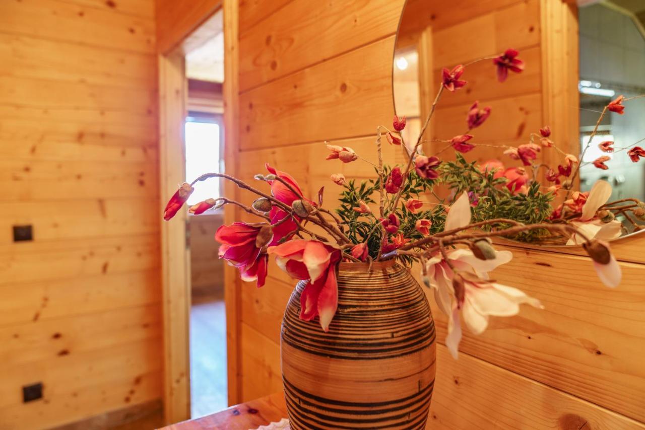 Apartment In- Out - Haus Stocker - Direkt An Der Skipiste By Schladmingurlaub Schladming